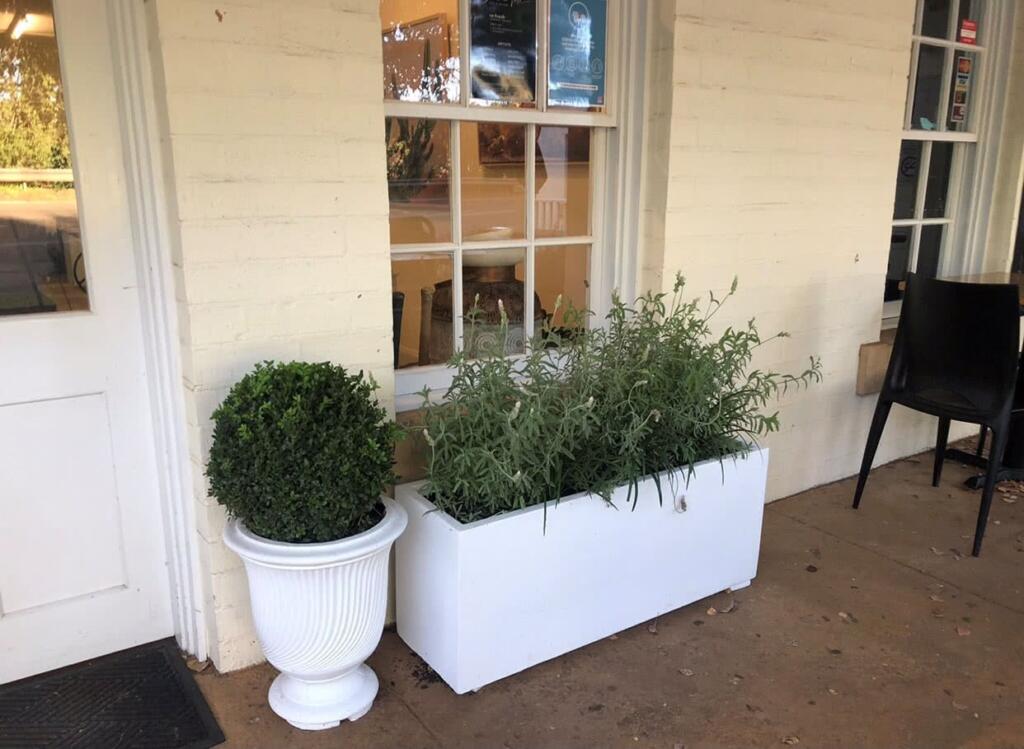 Thomson's Garden Centre