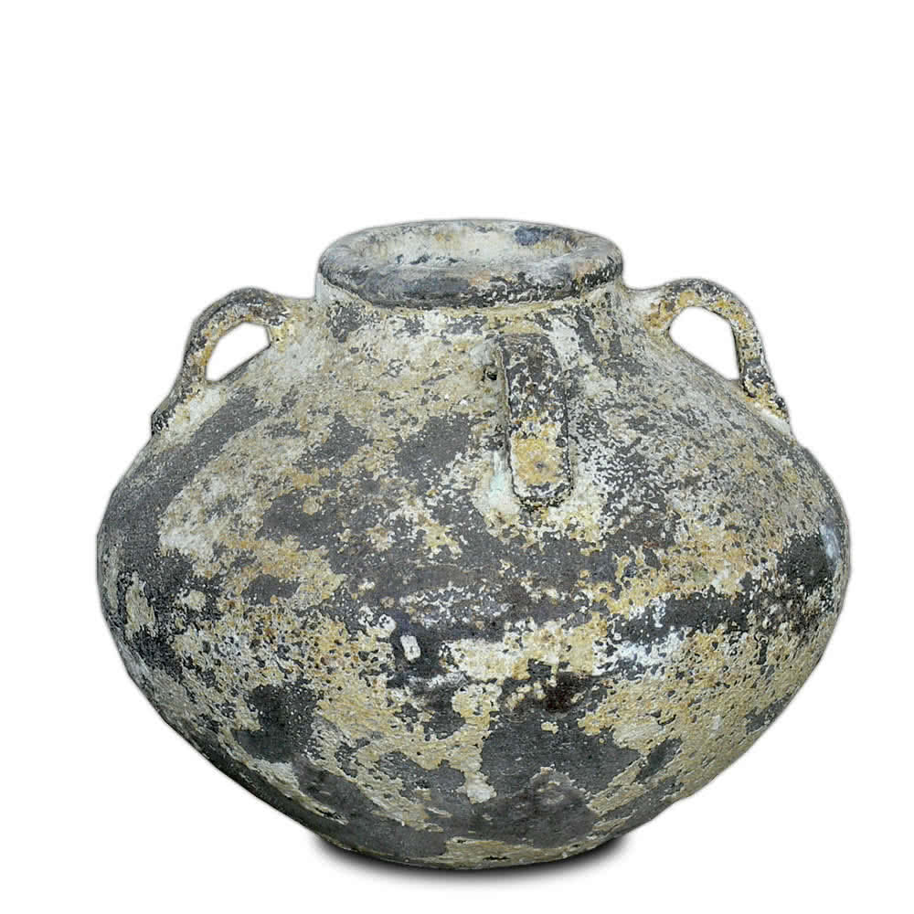 Thomson's Garden Centre