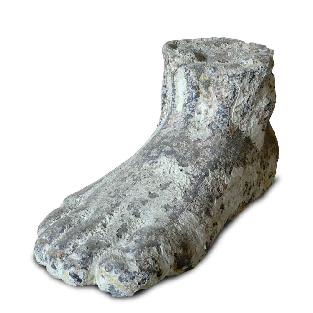 Thomson's Garden Centre