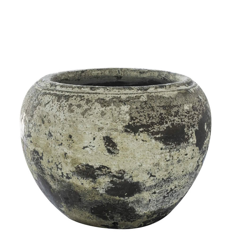 Thomson's Garden Centre