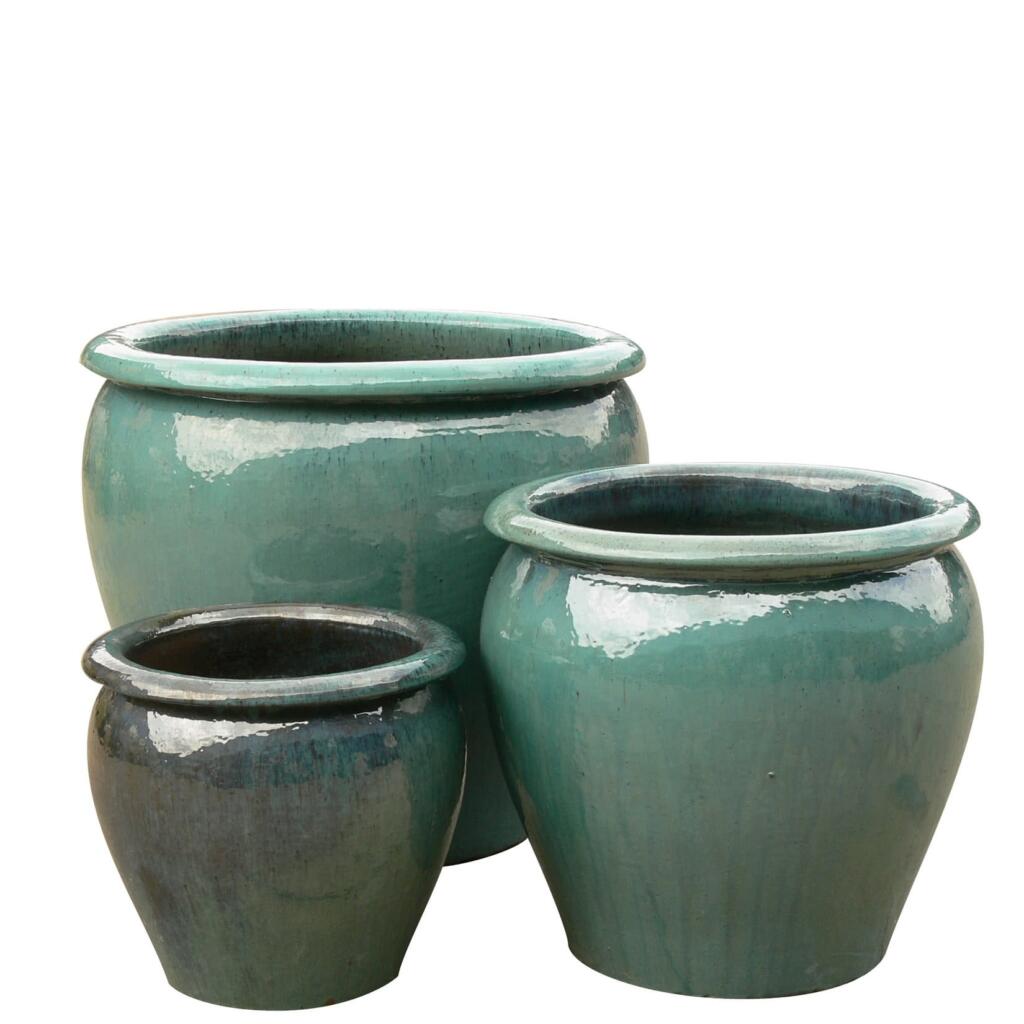 Thomson's Garden Centre