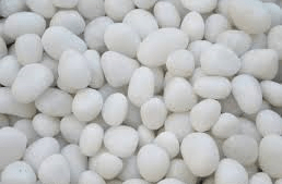 Thomson's Garden Centre