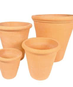 Terracotta-Citrus-Pot-LT4158-CottaSEAL