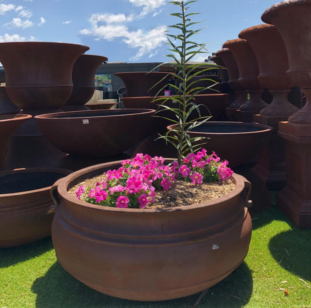 Thomson's Garden Centre