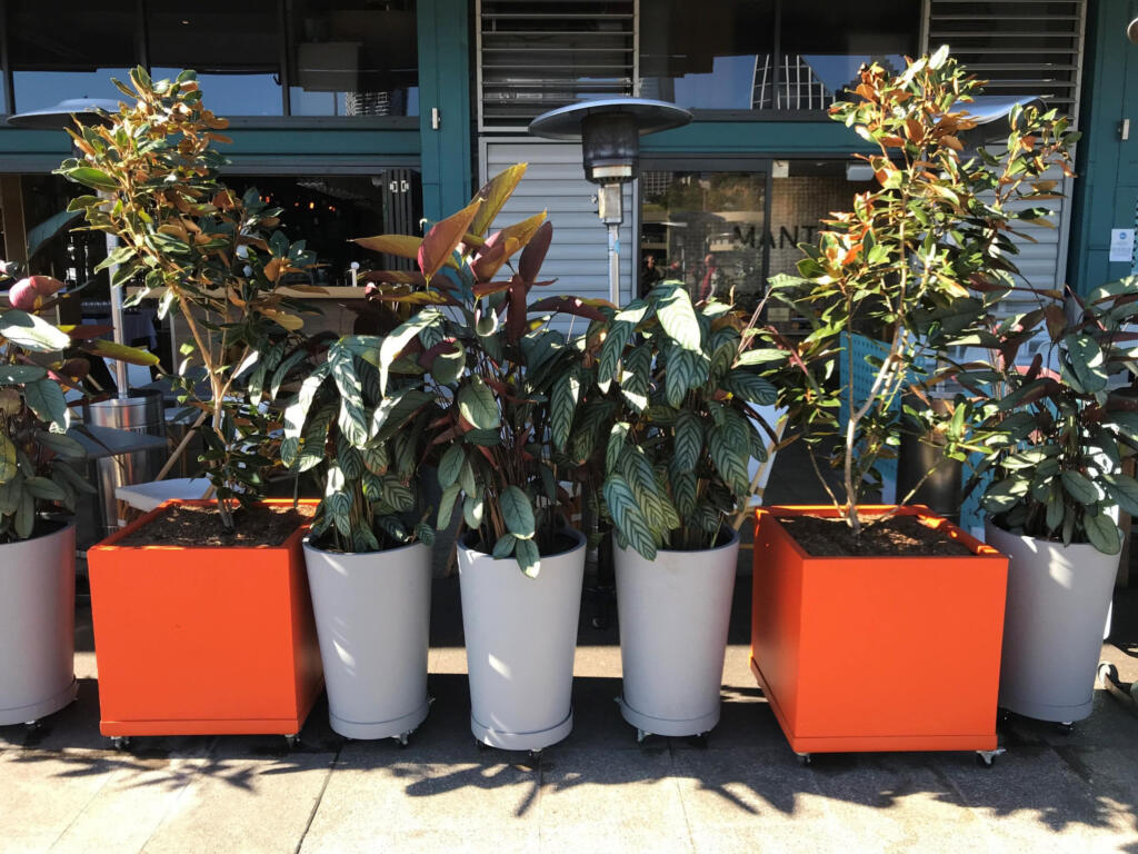 Thomson's Garden Centre