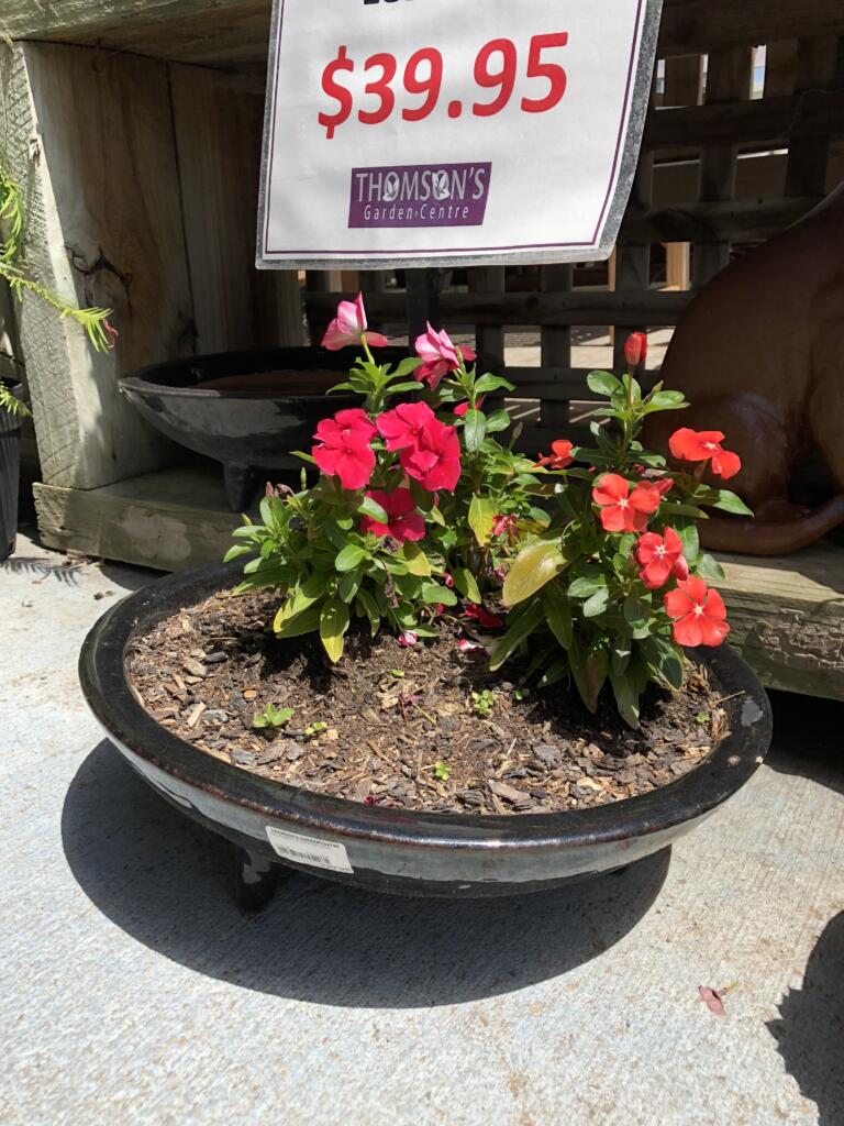 Thomson's Garden Centre