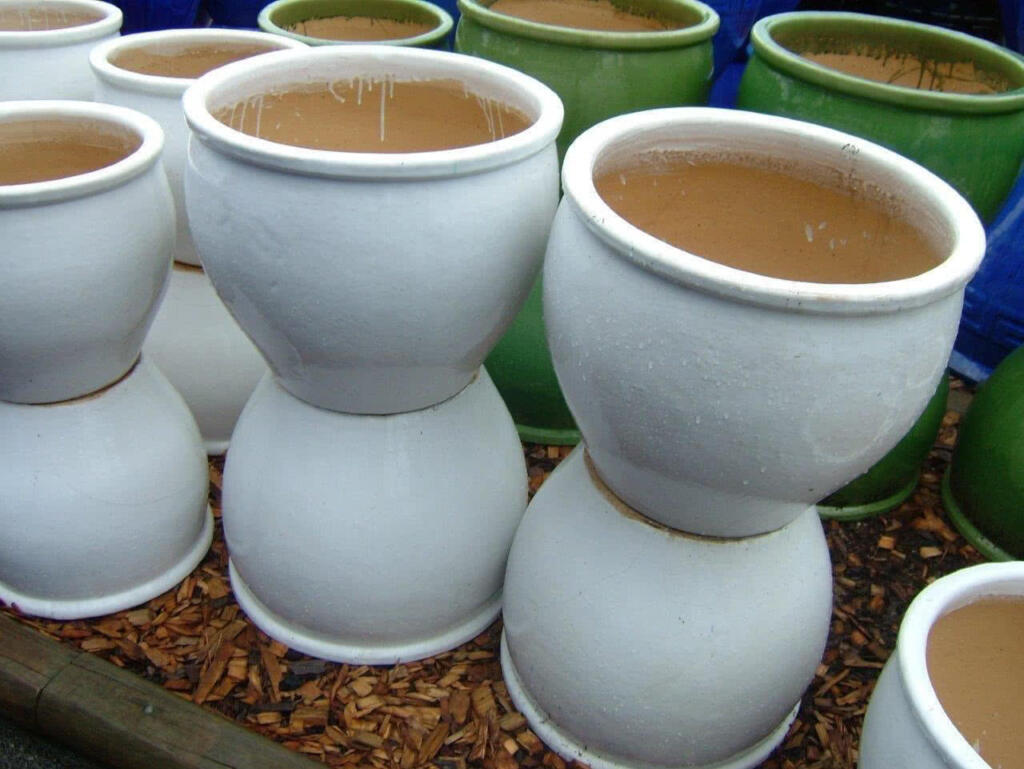 Thomson's Garden Centre