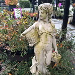Statues-Category-Online