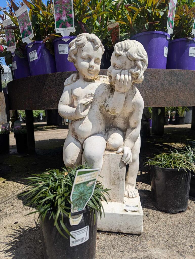 Thomson's Garden Centre