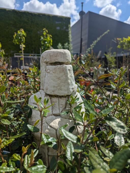 Ned Kelly Garden Statue