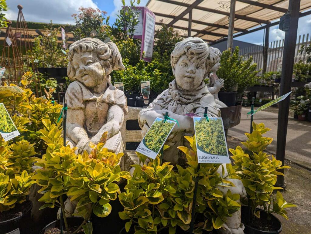 Thomson's Garden Centre