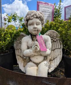 Angel Cherub Garden Statue