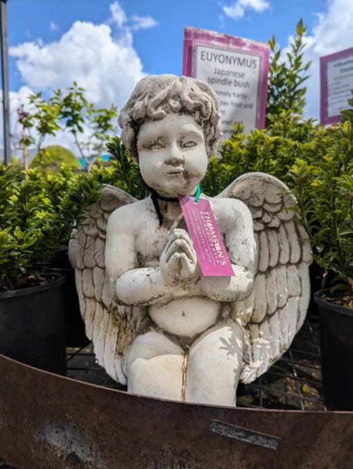 Angel Cherub Garden Statue