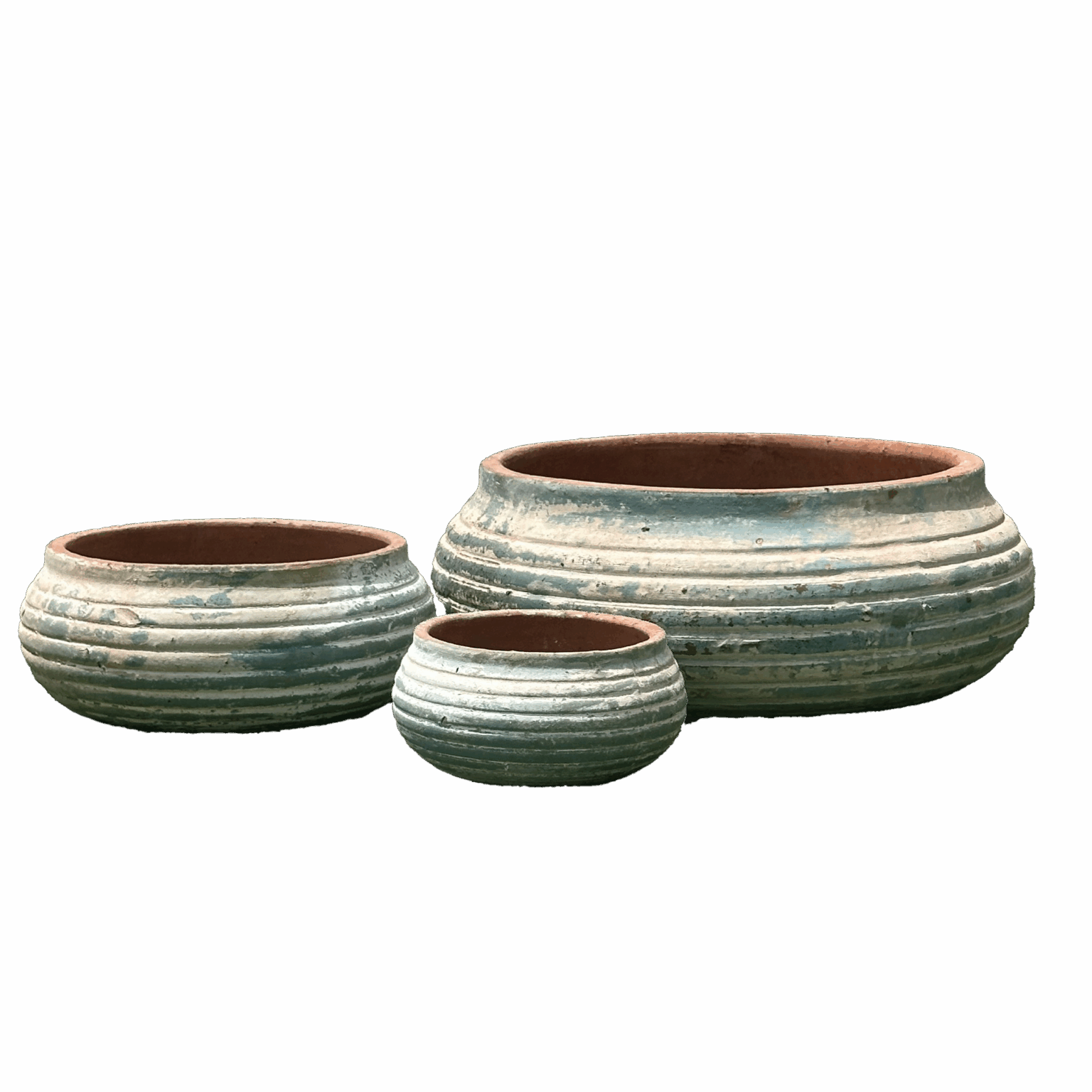 Ancient Seedpod Garden Pot