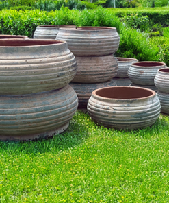 Ancient Seedpod Garden Pot