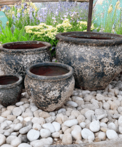 Pompeii Garden Pot with rustic black-and-white volcanic texture at Thomson Garden Centre Orange NSW