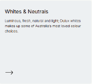 White Neutral Custom Colour Garden Pots 