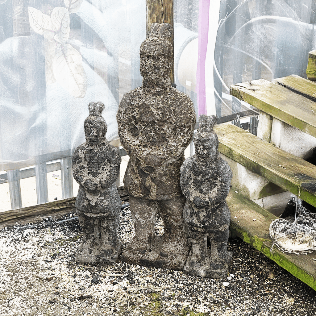 Thomson's Garden Centre