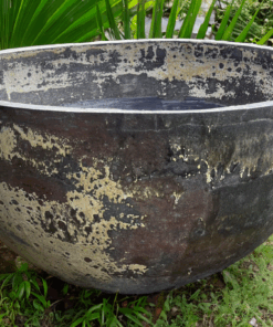 Thai limestone pots -- Grand Bowl extra-large statement garden pot with rustic hand-crafted finish at Thomson's Garden Centre Orange NSW