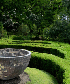 Thai limestone pots -- Grand Bowl extra-large statement garden pot with rustic hand-crafted finish at Thomson's Garden Centre Orange NSW