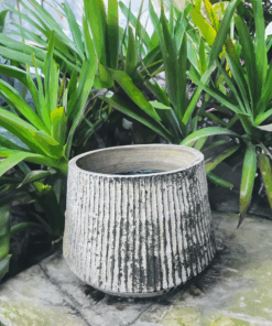 Thai limestone pots -- Fluted Torquelstone with vertical ribbing at Thomson's Garden Centre Orange NSW