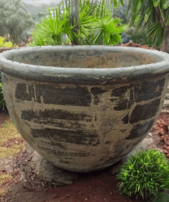 Thai limestone pots -- Grand Roll-lip Planter with smooth rolled edge and natural rustic finish at Thomson's Garden Centre Orange NSW