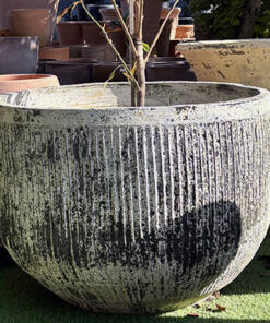 Thai limestone pots -- Fluted Tub extra-large garden pot with textured sandstone finish at Thomson's Garden Centre Orange NSW