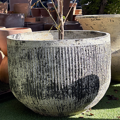 Thai limestone pots -- Fluted Tub extra-large garden pot with textured sandstone finish at Thomson's Garden Centre Orange NSW