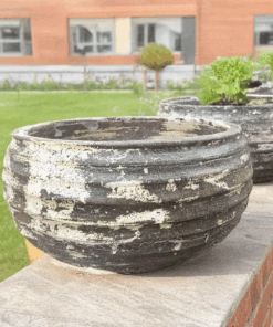 Thai limestone pots -- Seedpod Pot with natural aged limestone finish at Thomson's Garden Centre Orange NSW