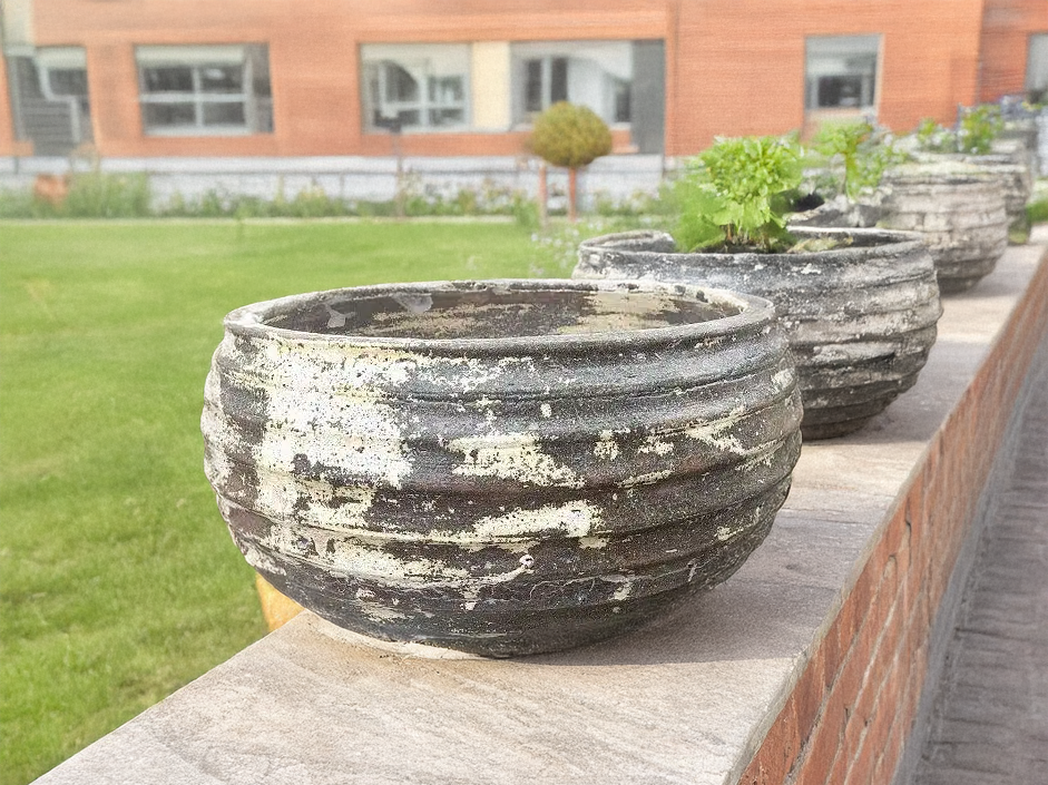 Thai limestone pots -- Seedpod Pot with natural aged limestone finish at Thomson's Garden Centre Orange NSW